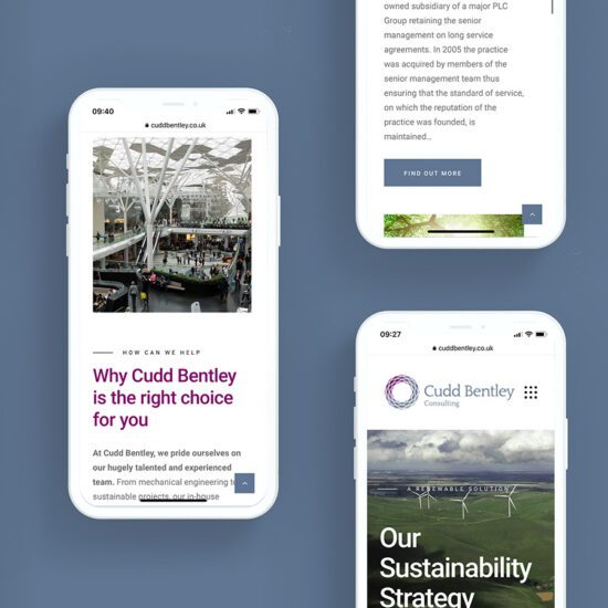 Cudd Bentley - responsive design